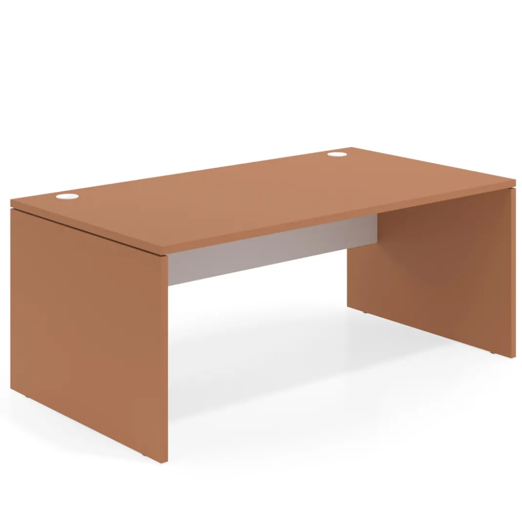 Mesa de Dirección Work Plus fondo 100 diseño bicolor
