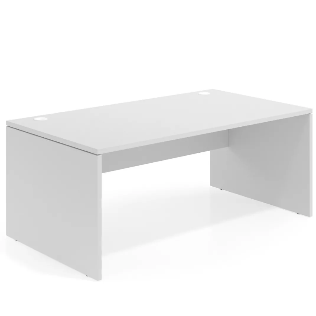 Mesa de Dirección Work Plus fondo 100 diseño monocolor