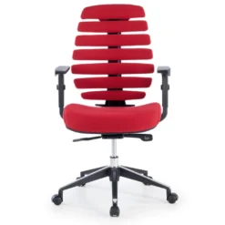 Silla de oficina ergonómica Spine