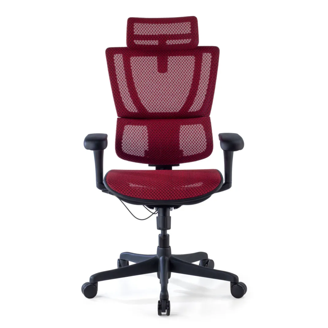Silla de oficina Ergonomica IOO, soporte lumbar