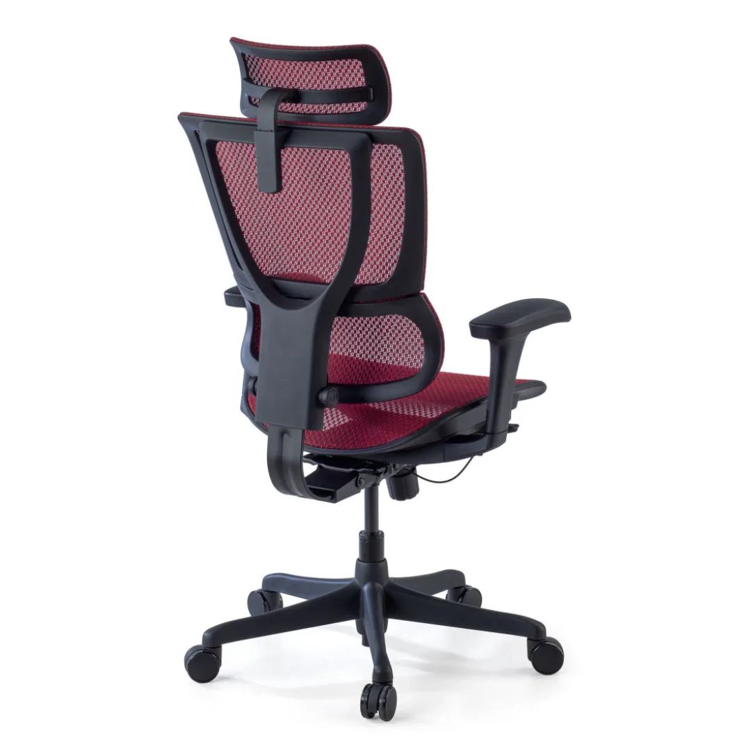 Silla de oficina Ergonomica IOO, soporte lumbar