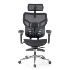 Silla ergonómica de oficina Erghos X3, doble cojín lumbar