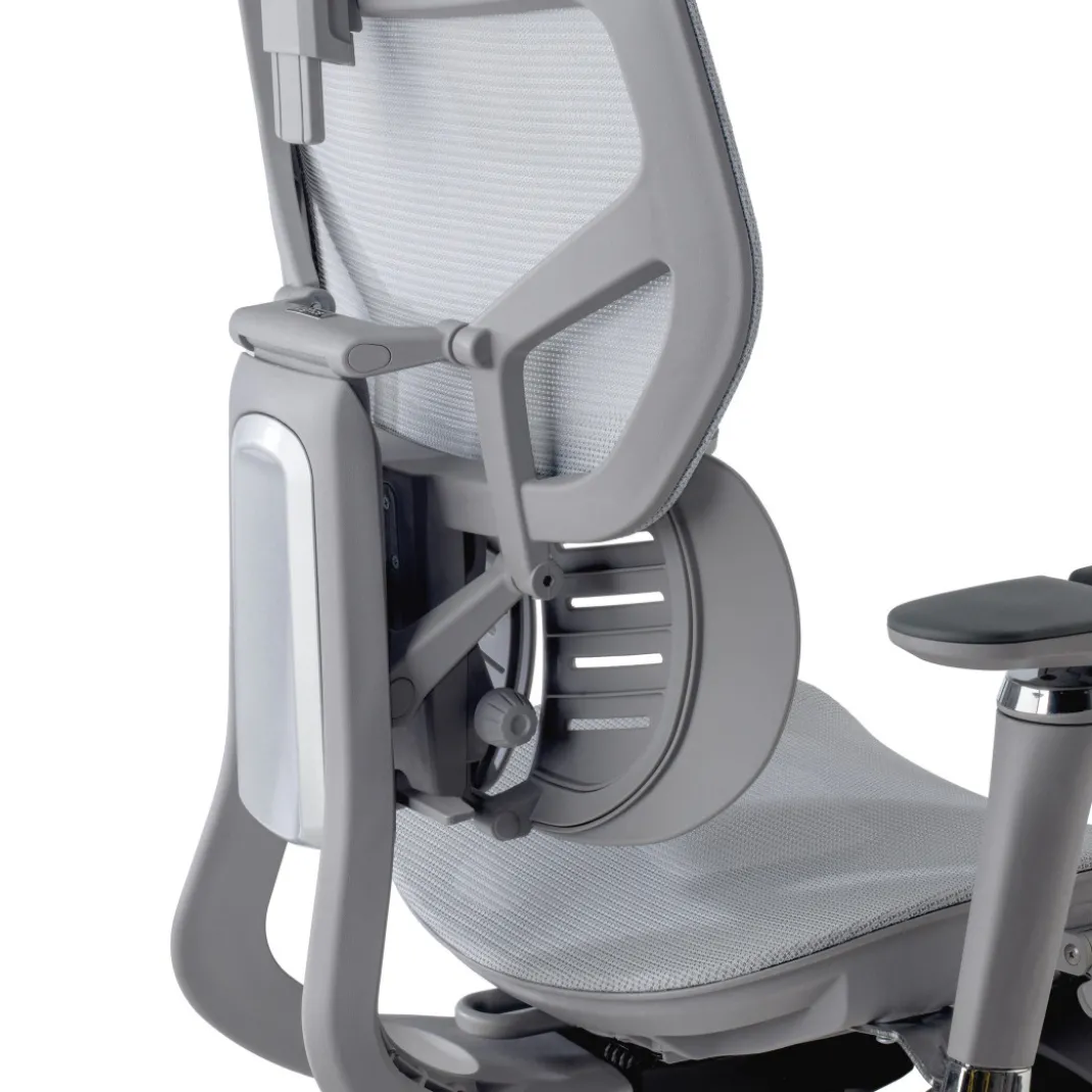 Silla ergonómica de oficina Erghos X3, doble cojín lumbar