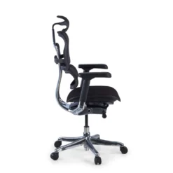 Silla Ergonómica Ergohuman Elite, asiento tapizado, estructura negra