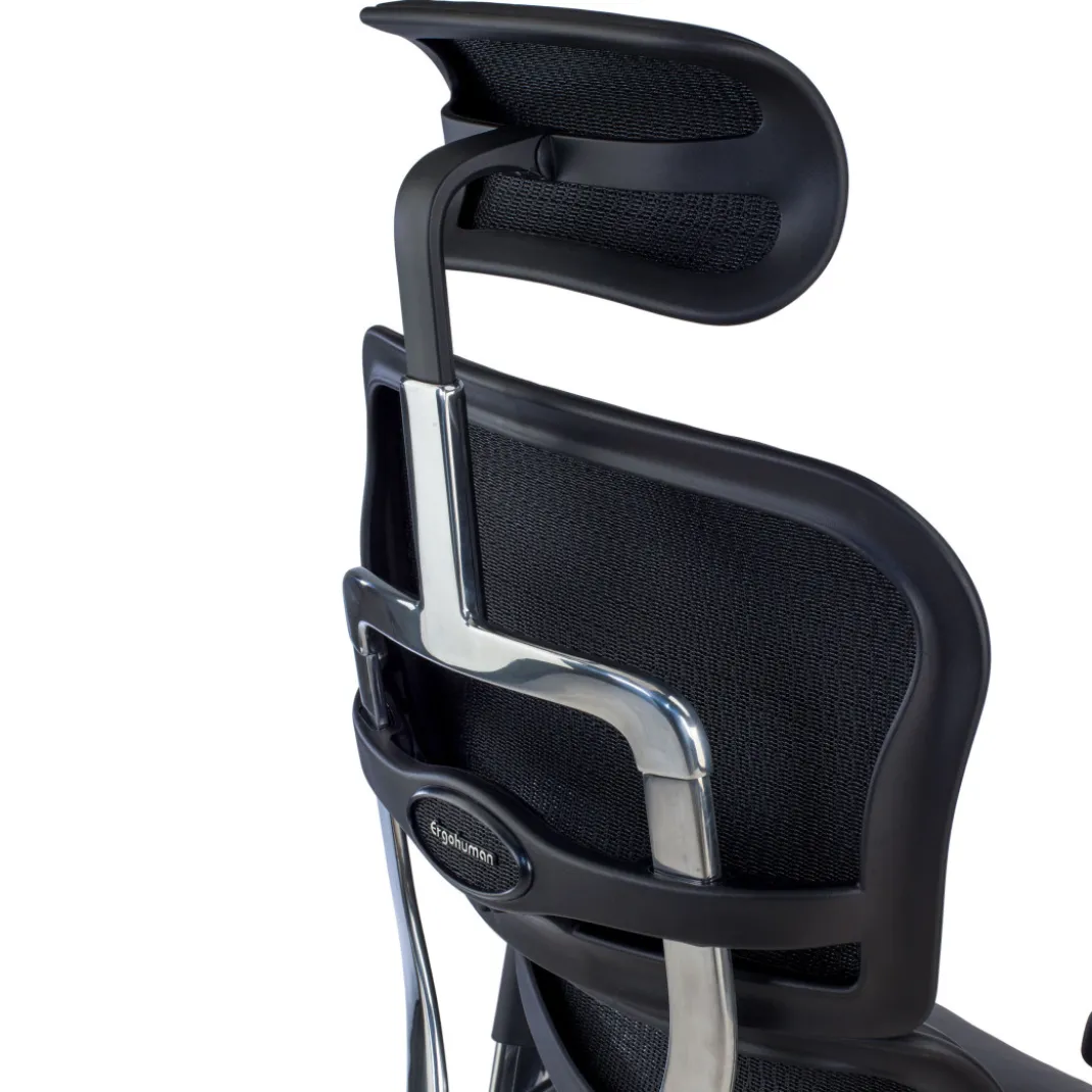 Silla Ergonómica Ergohuman Elite, piel natural