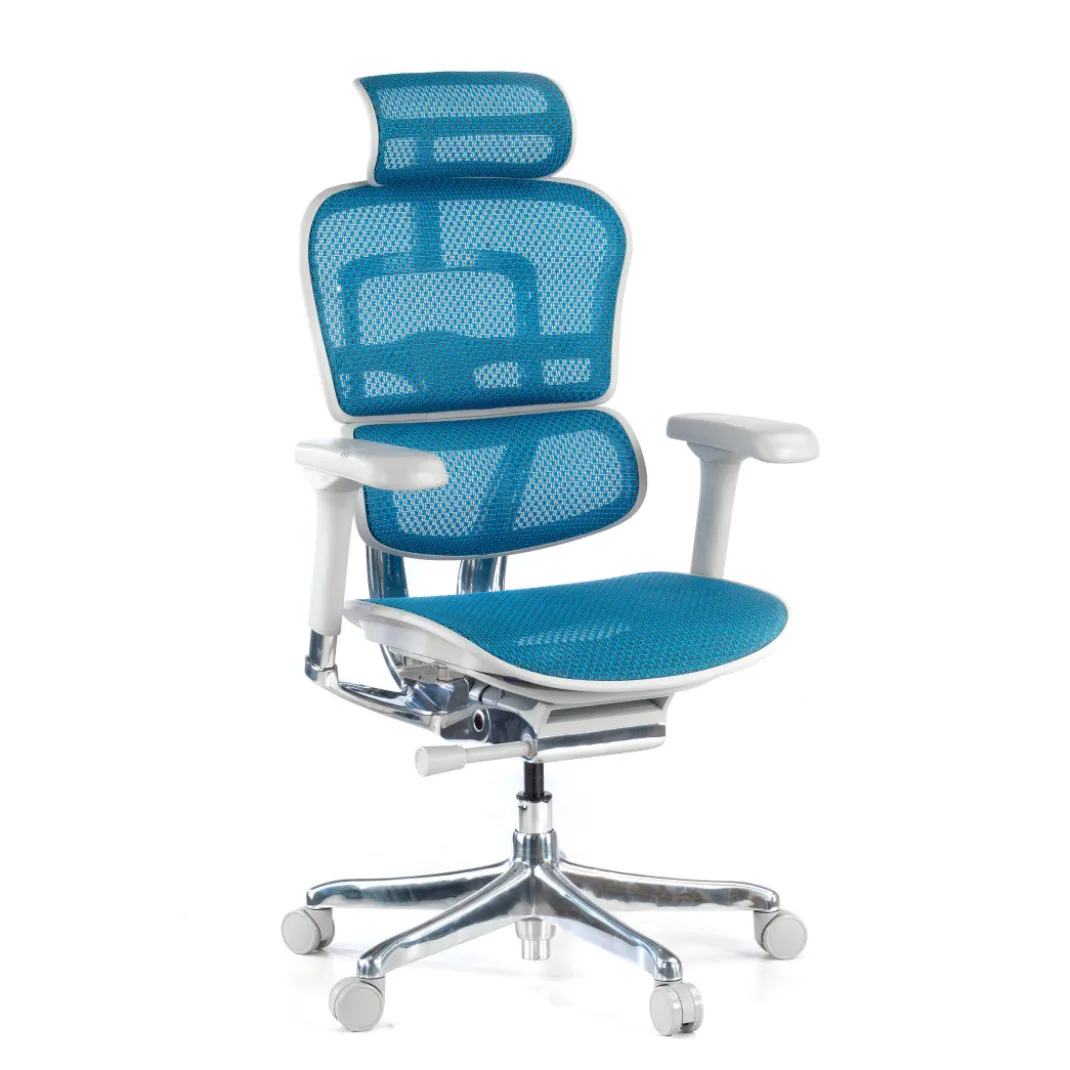 Silla ergonómica Ergohuman Elite, estructura blanca