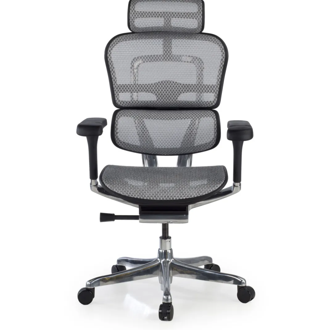 Silla ergonómica Ergohuman Elite, estructura negra