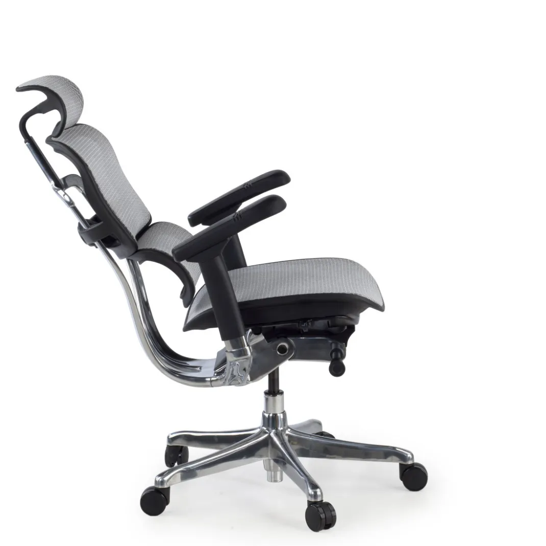 Silla ergonómica Ergohuman Elite, estructura negra