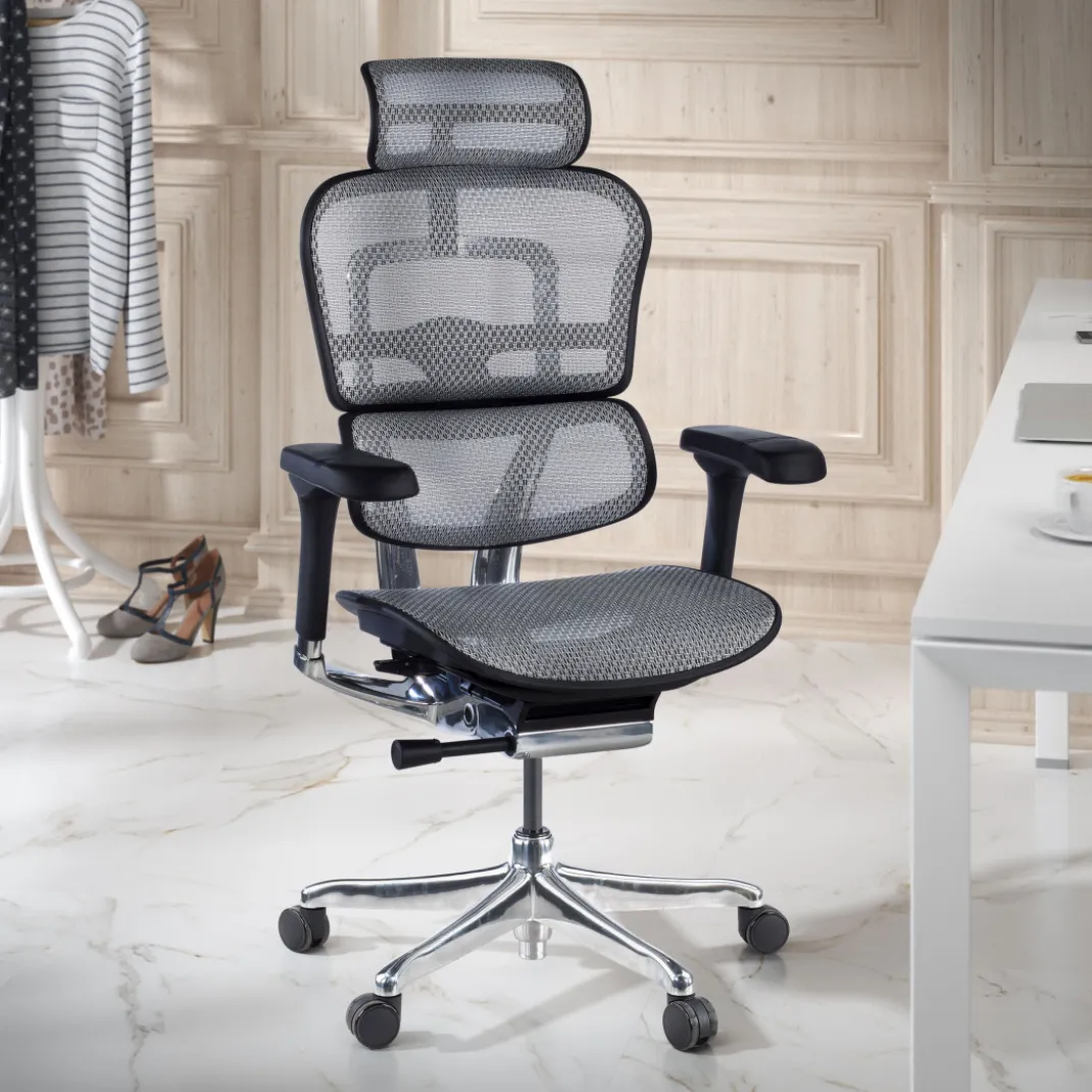Silla ergonómica Ergohuman Elite, estructura negra