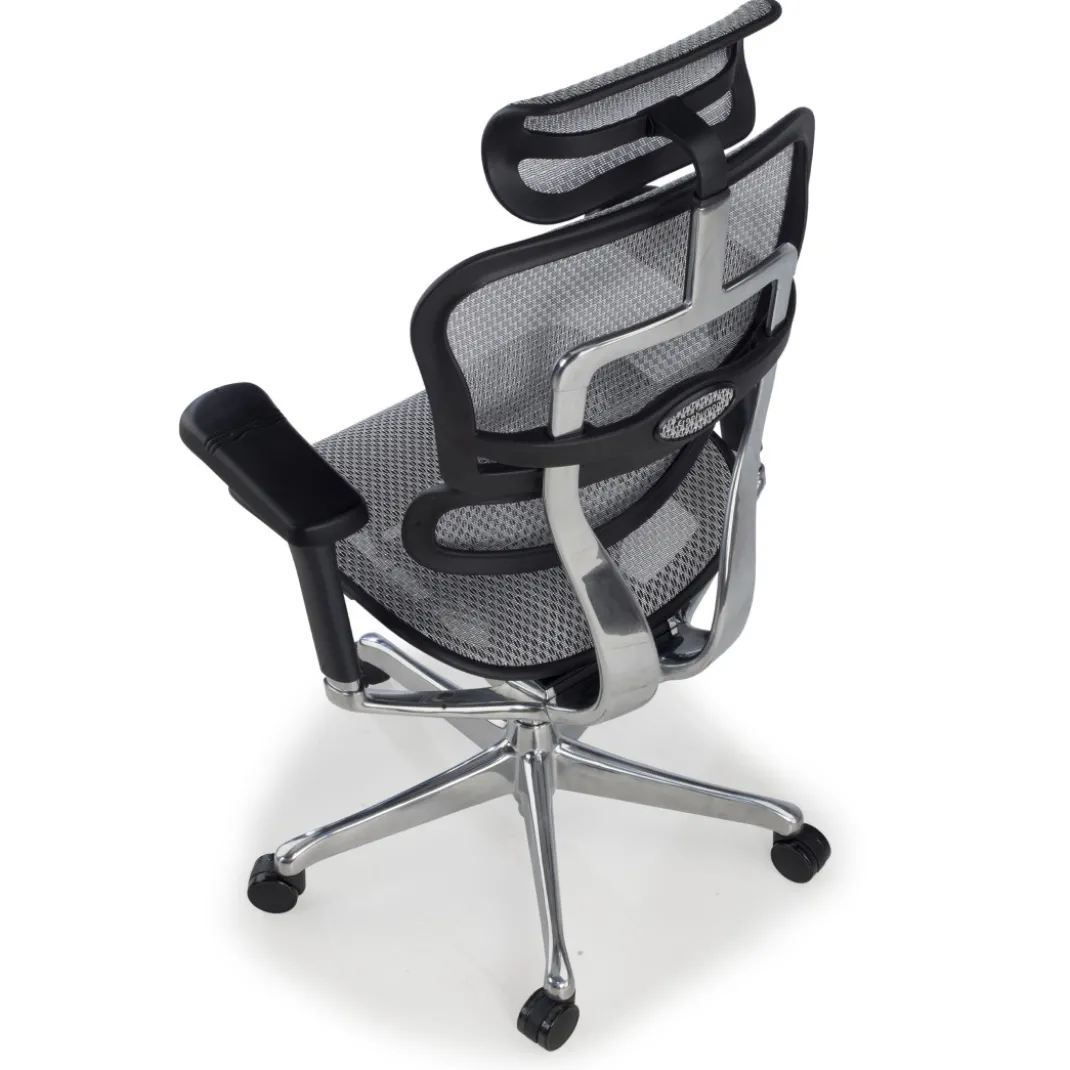 Silla ergonómica Ergohuman Elite, estructura negra