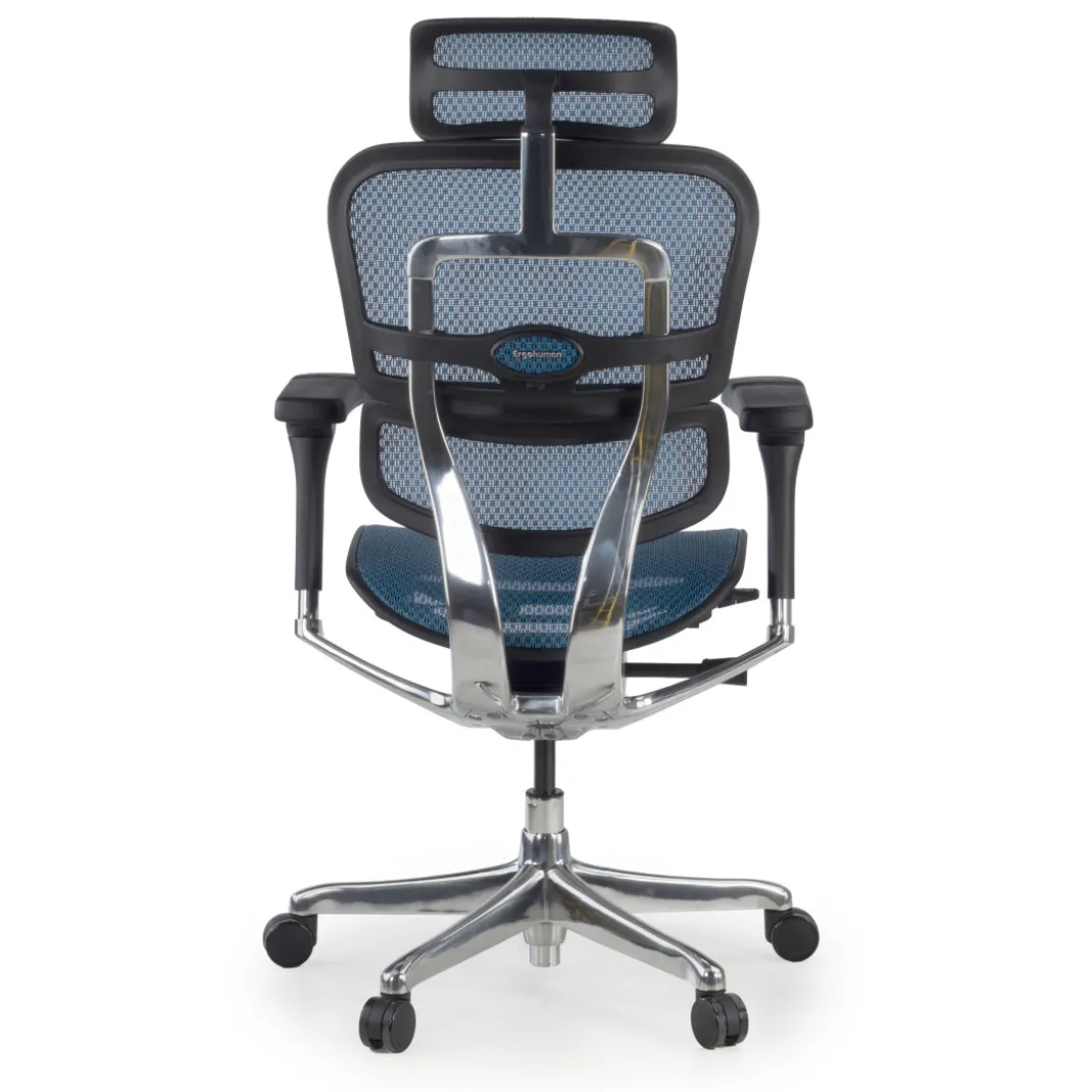 Silla ergonómica Ergohuman Elite, estructura negra