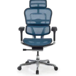 Silla ergonómica Ergohuman Elite, estructura negra