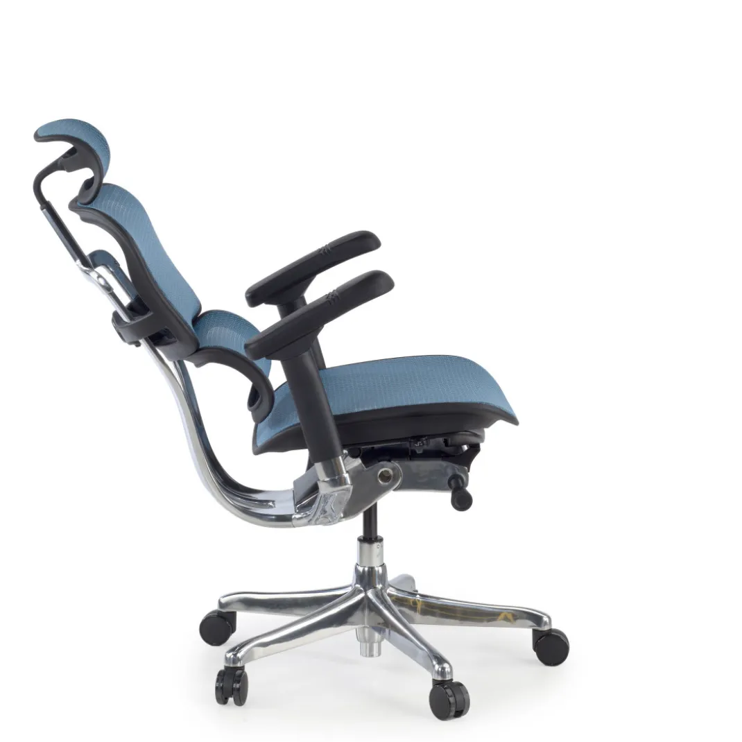 Silla ergonómica Ergohuman Elite, estructura negra