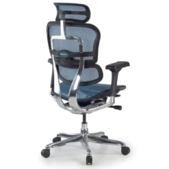 Silla ergonómica Ergohuman Elite, estructura negra