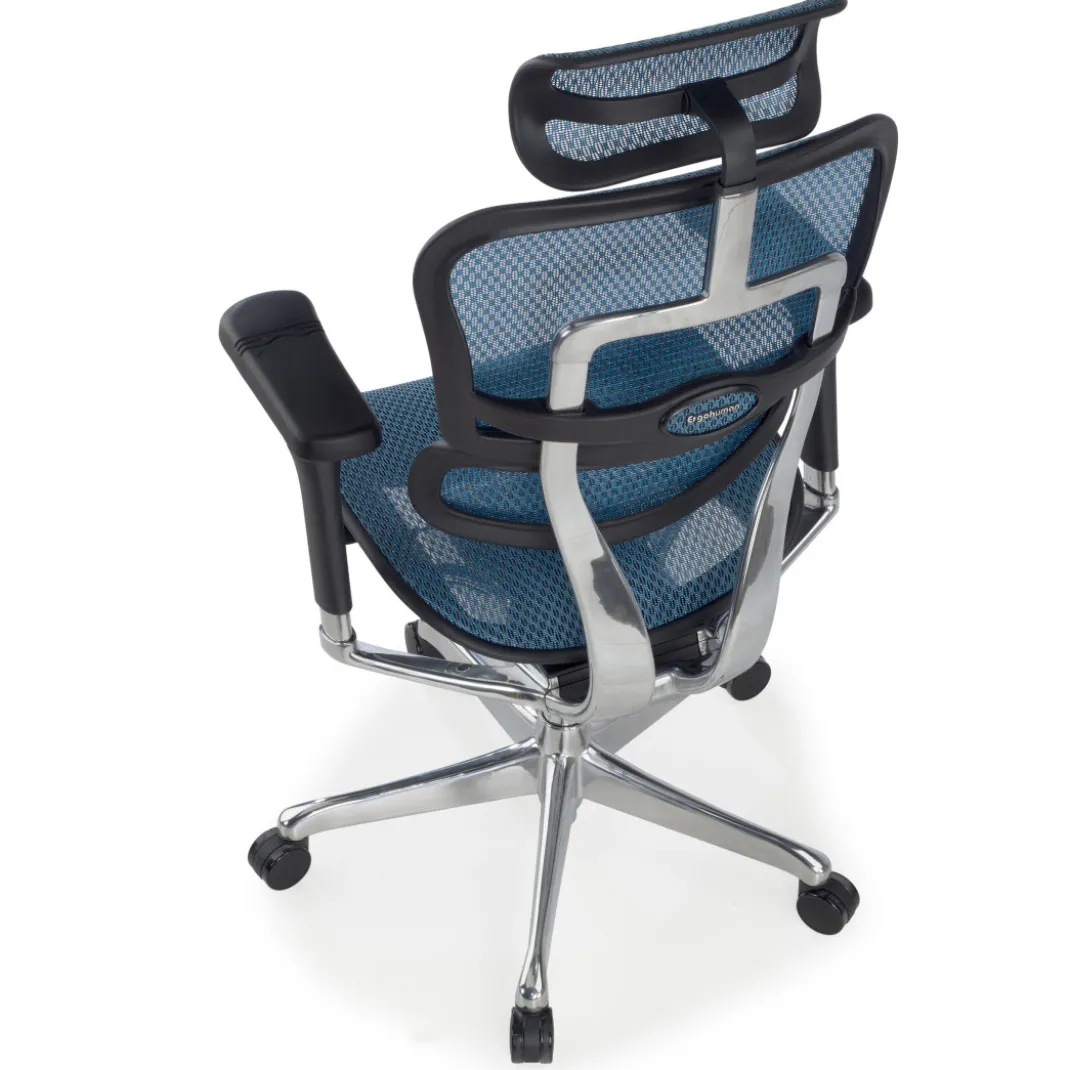 Silla ergonómica Ergohuman Elite, estructura negra
