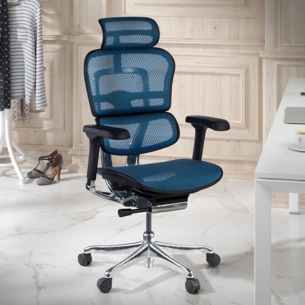 Silla ergonómica Ergohuman Elite, estructura negra