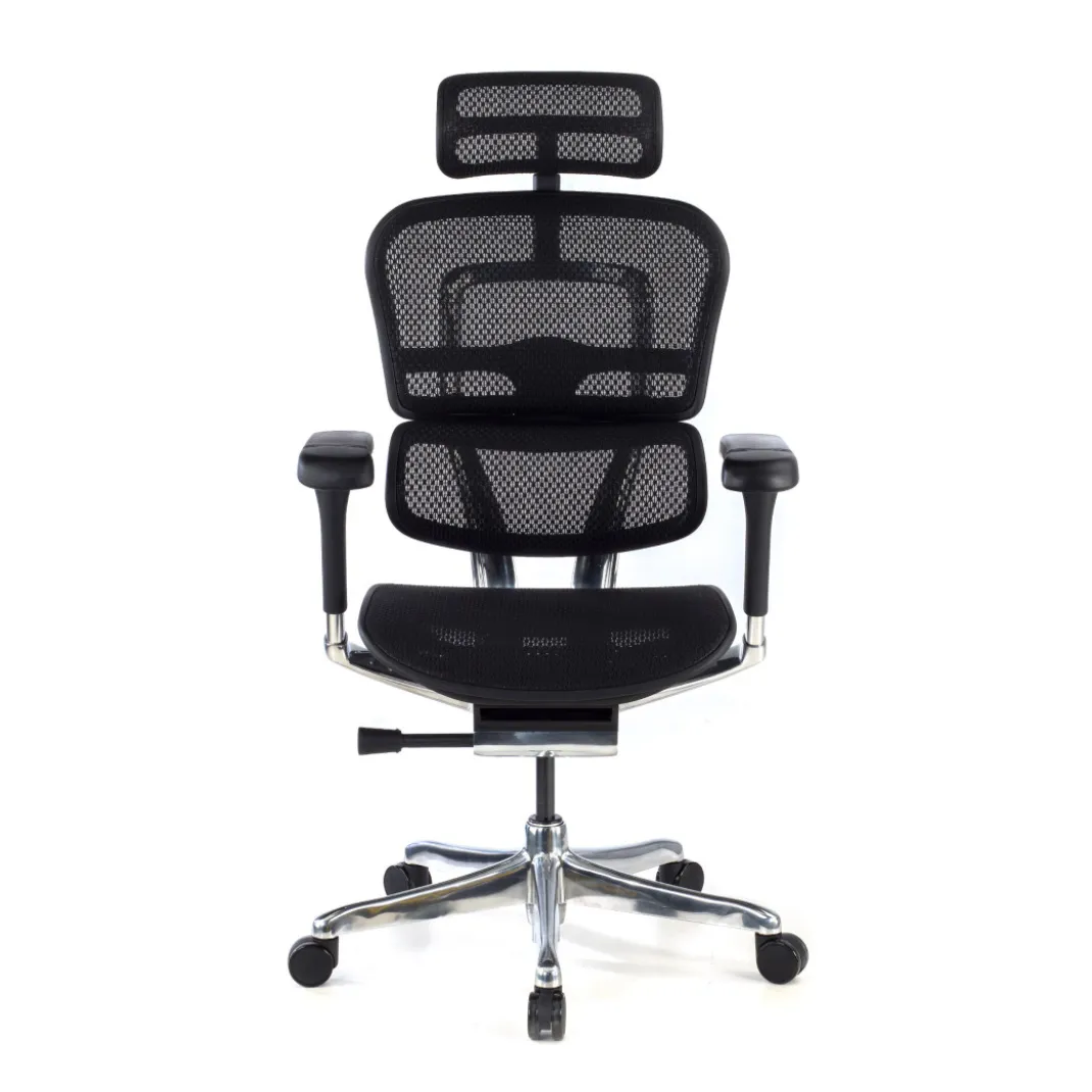 Silla ergonómica Ergohuman Elite, estructura negra