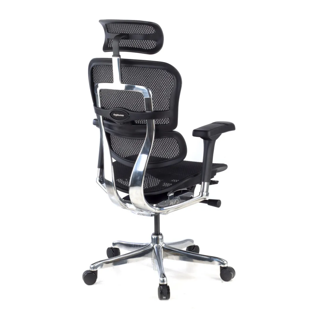 Silla ergonómica Ergohuman Elite, estructura negra