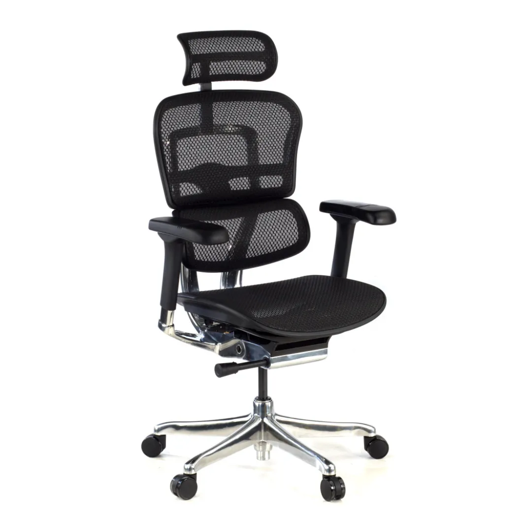 Silla ergonómica Ergohuman Elite, estructura negra