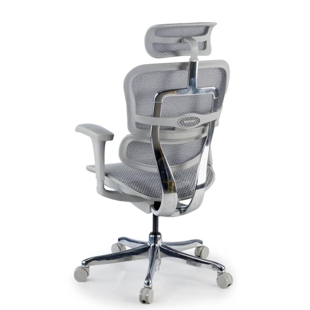 Silla ergonómica Ergohuman gen2, estructura gris