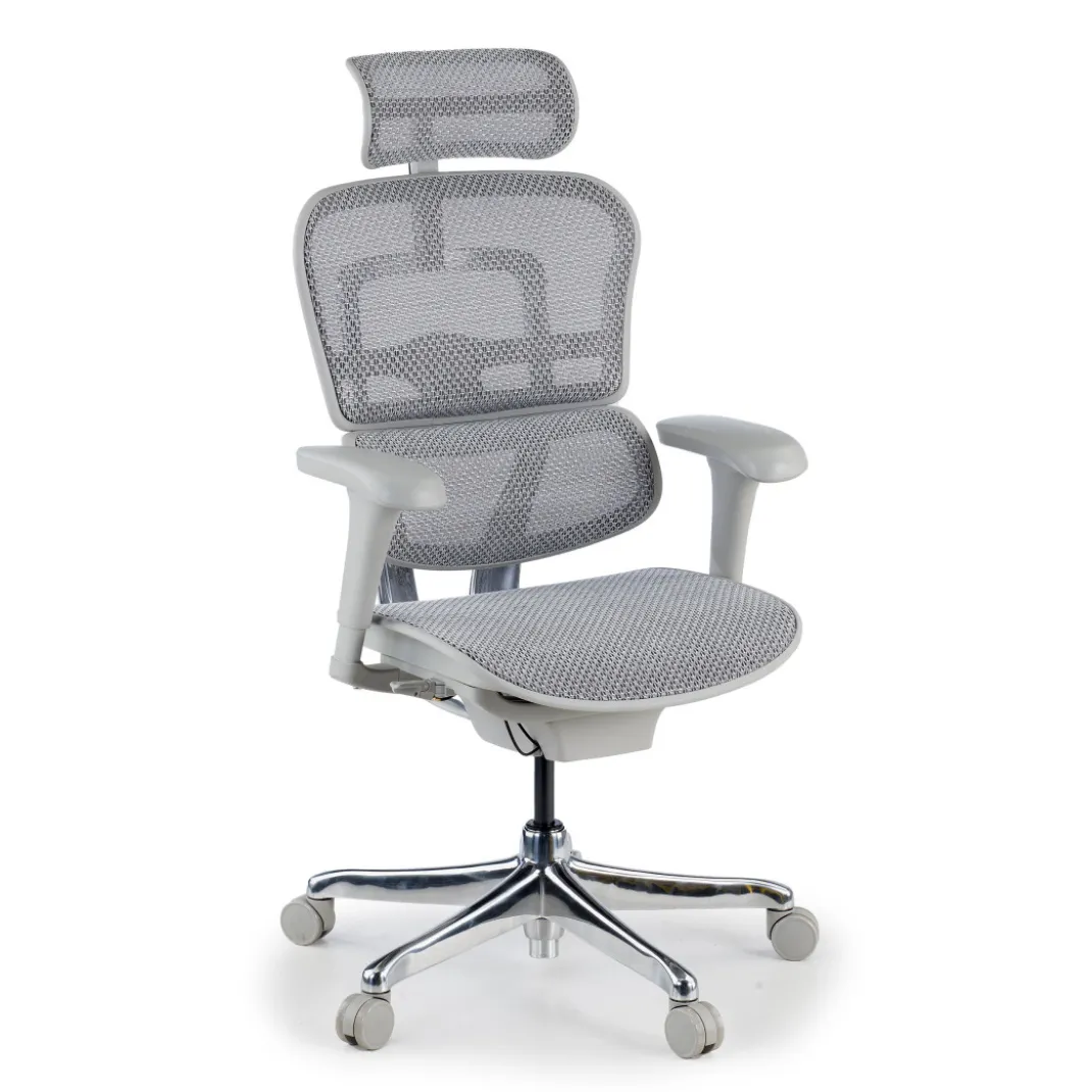 Silla ergonómica Ergohuman gen2, estructura gris