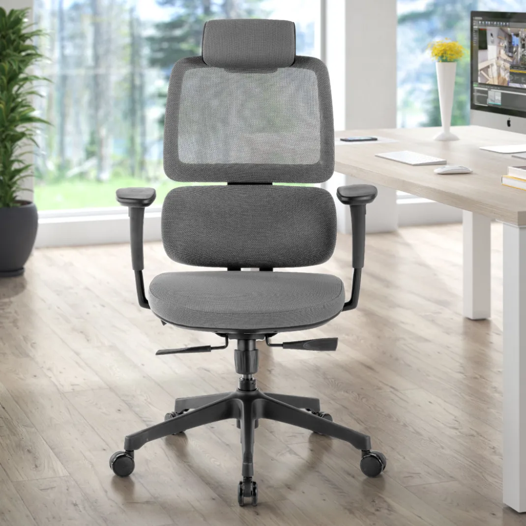 Silla ergonomica Focus, reposacabezas, doble cojin lumbar